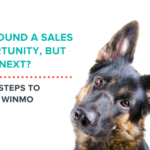 You Found a Sales Opportunity, But What Next?