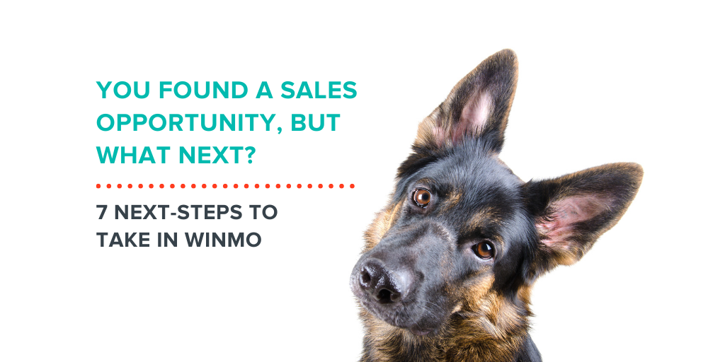 You Found a Sales Opportunity, But What Next?